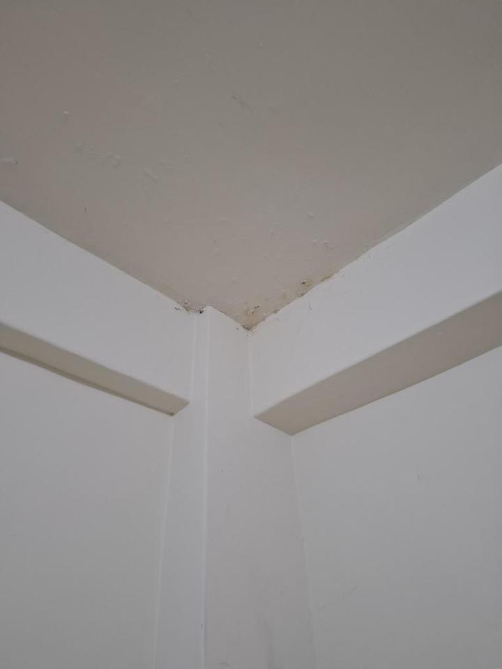 油漆工程案件圖片