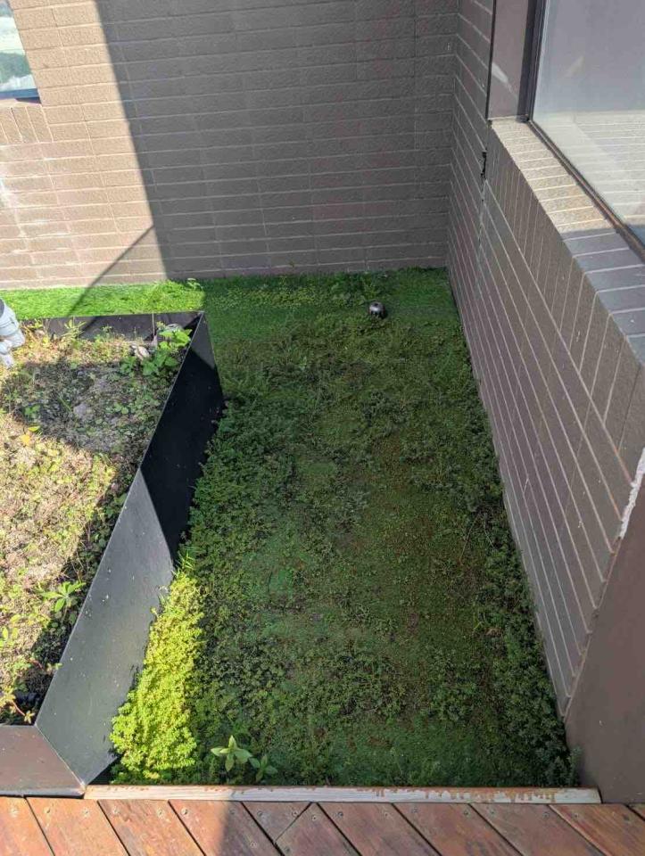 園藝維護案件圖片