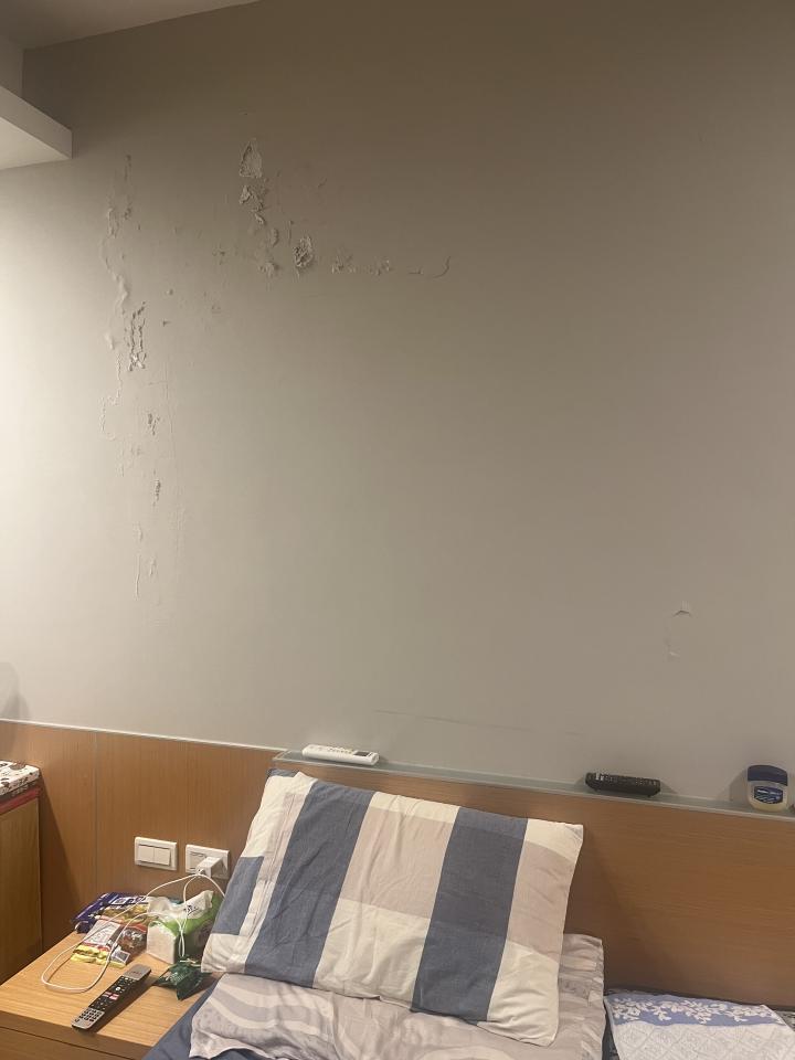 壁癌處理案件圖片