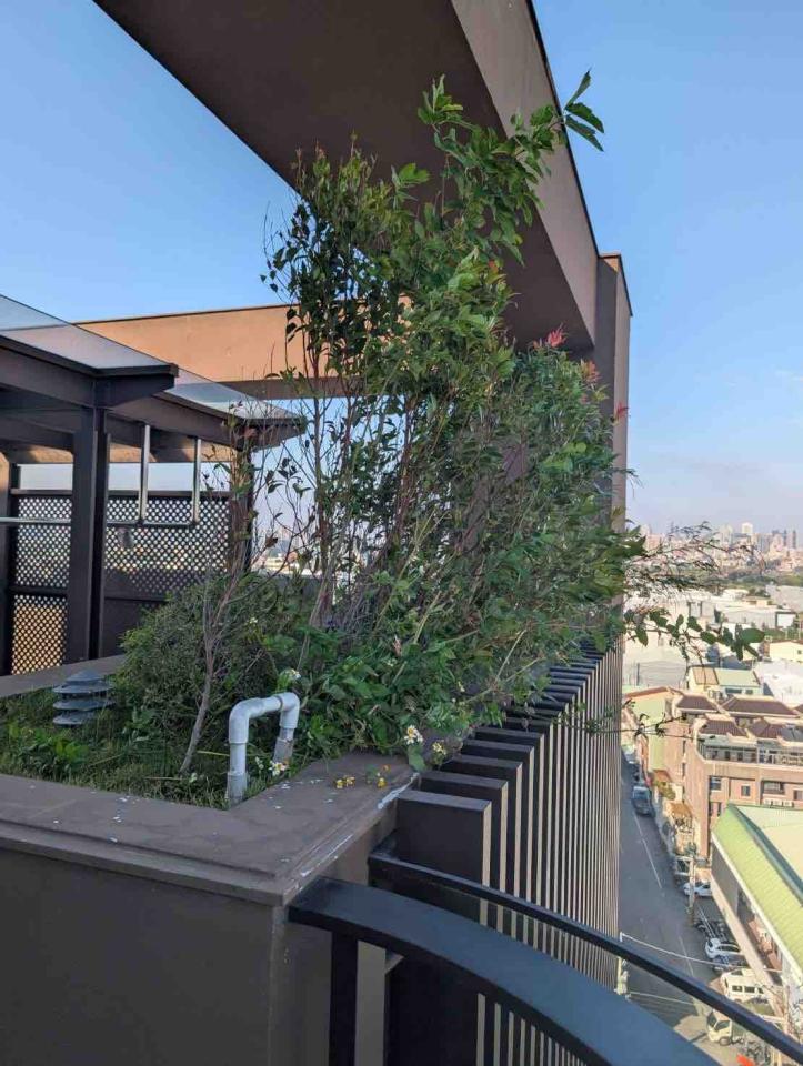 園藝維護案件圖片