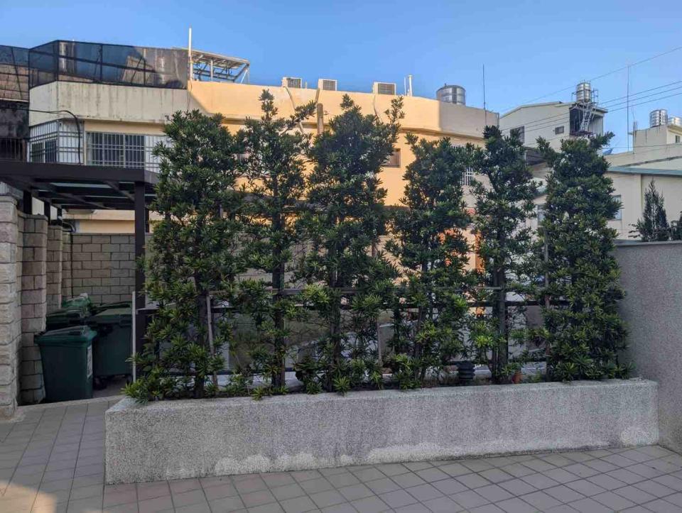 園藝維護案件圖片