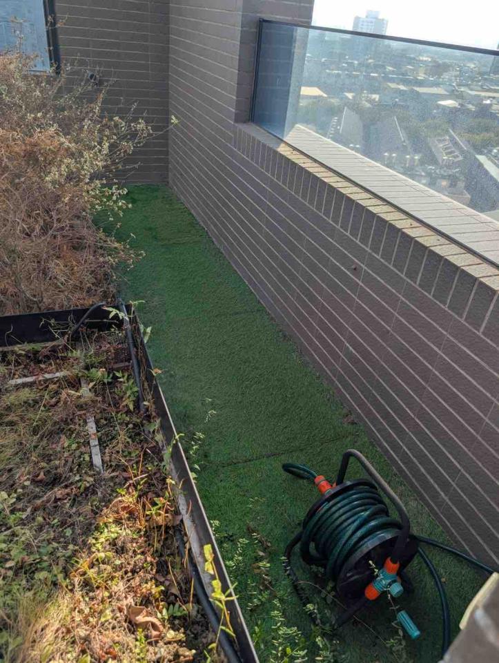 園藝維護案件圖片