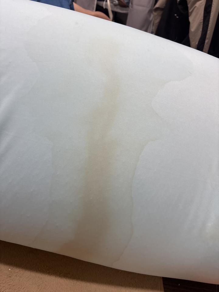 沙發清潔案件圖片