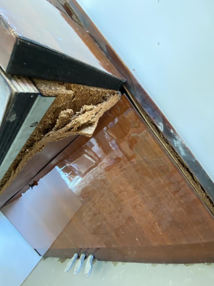 樂器行案件圖片