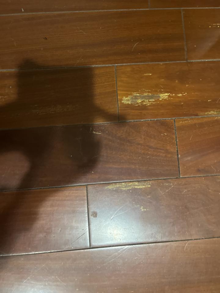 地板維修案件圖片