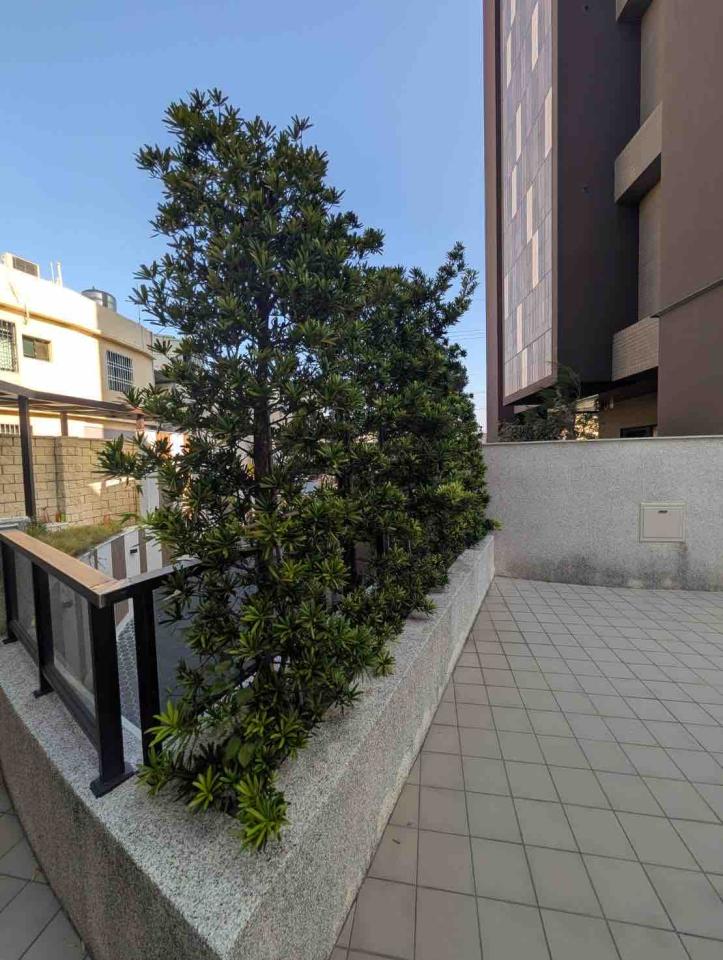 園藝維護案件圖片