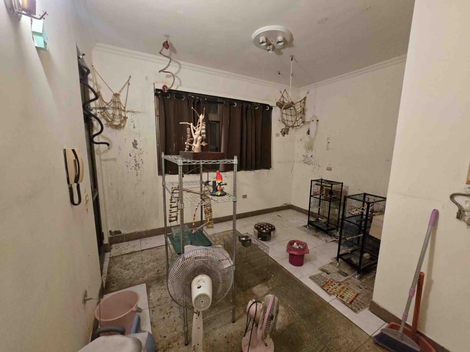 室內裝潢案件圖片