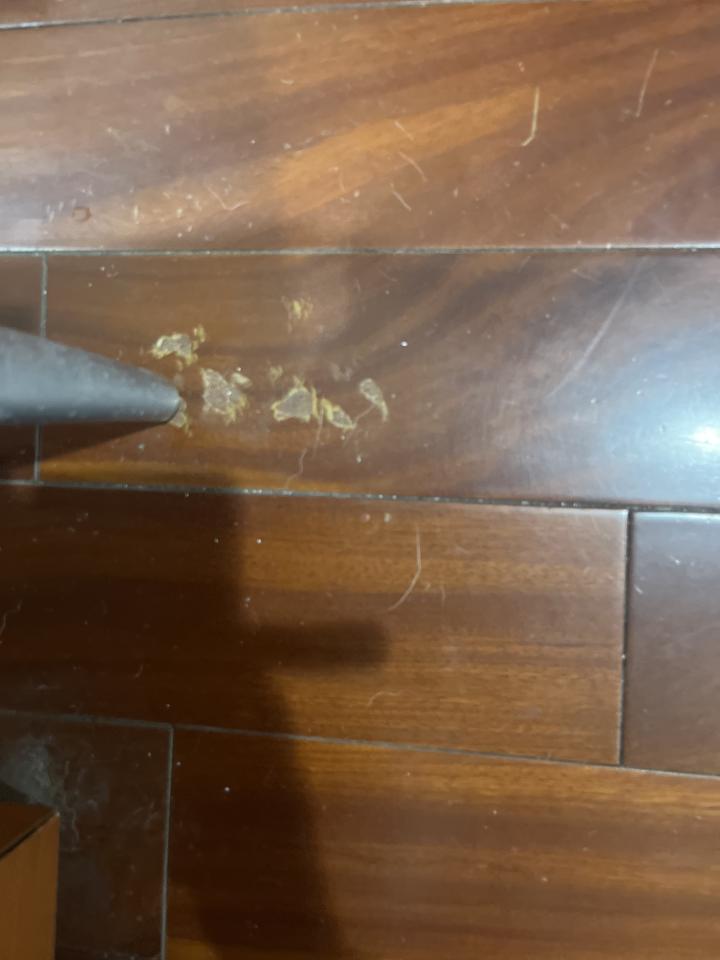 地板維修案件圖片