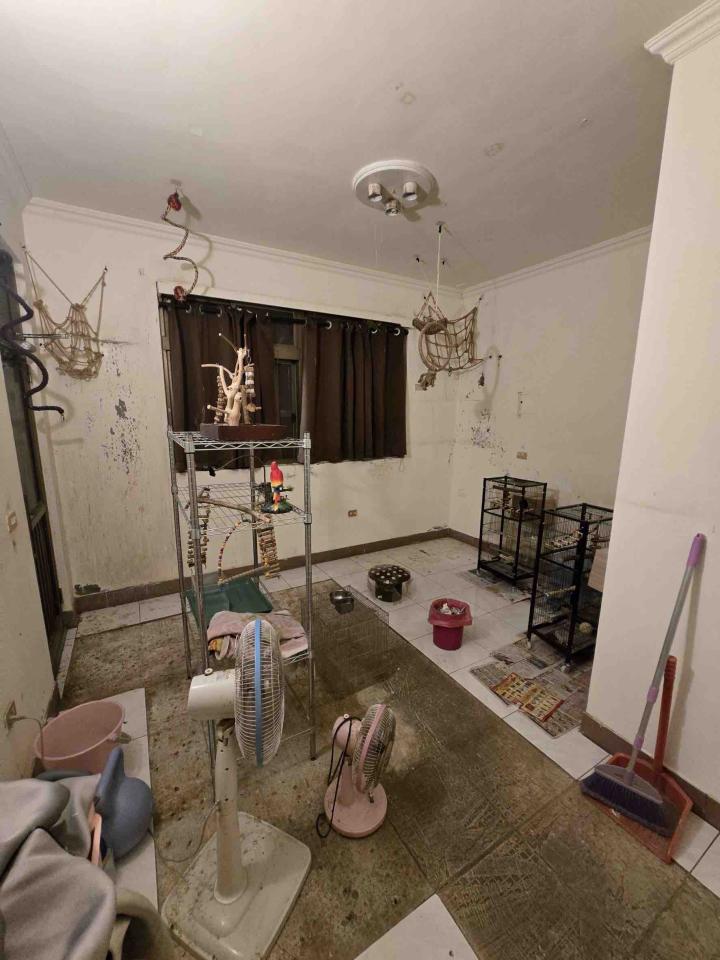 室內裝潢案件圖片