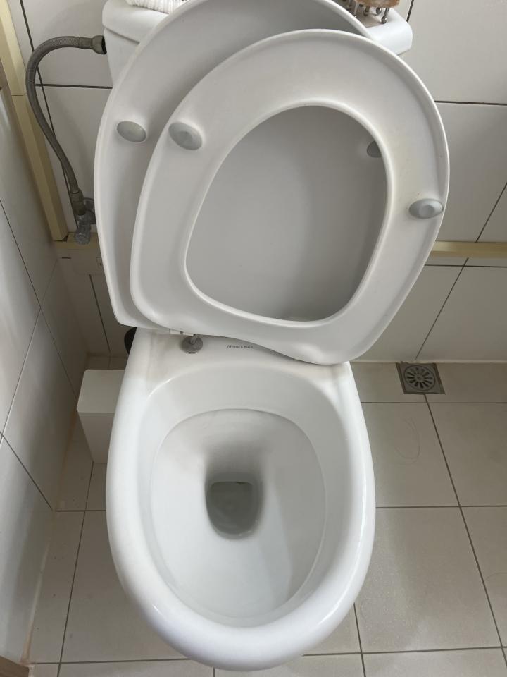 馬桶裝修案件圖片