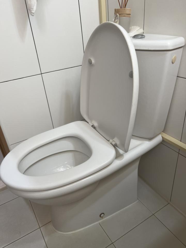 馬桶裝修案件圖片