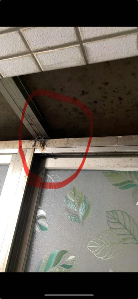 屋頂防水案件圖片