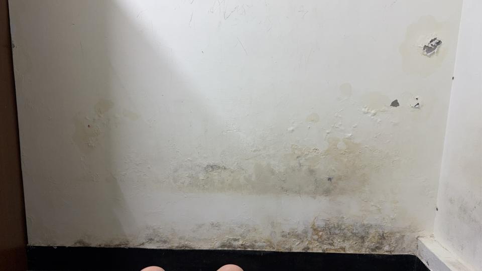 油漆工程案件圖片