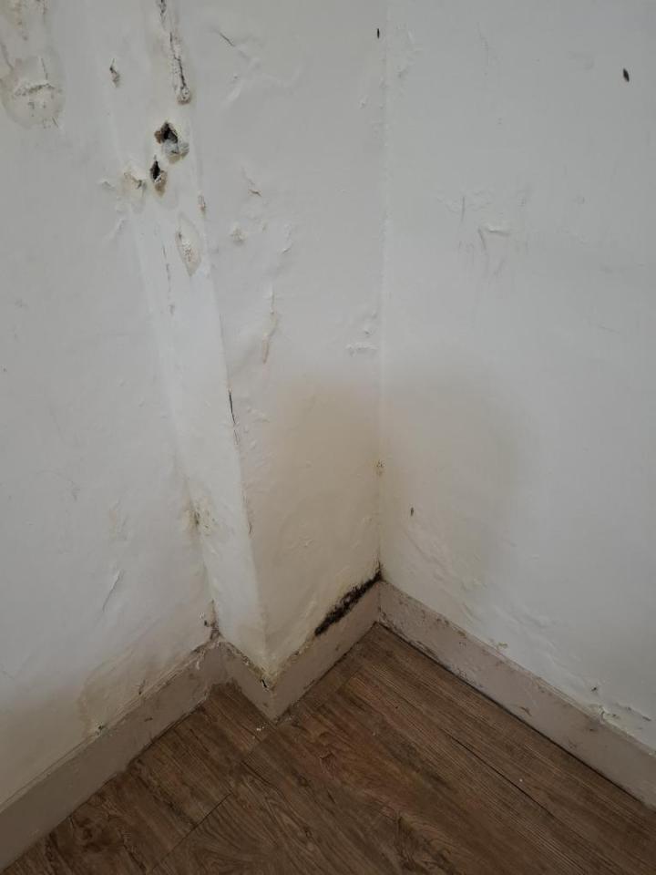 油漆工程案件圖片