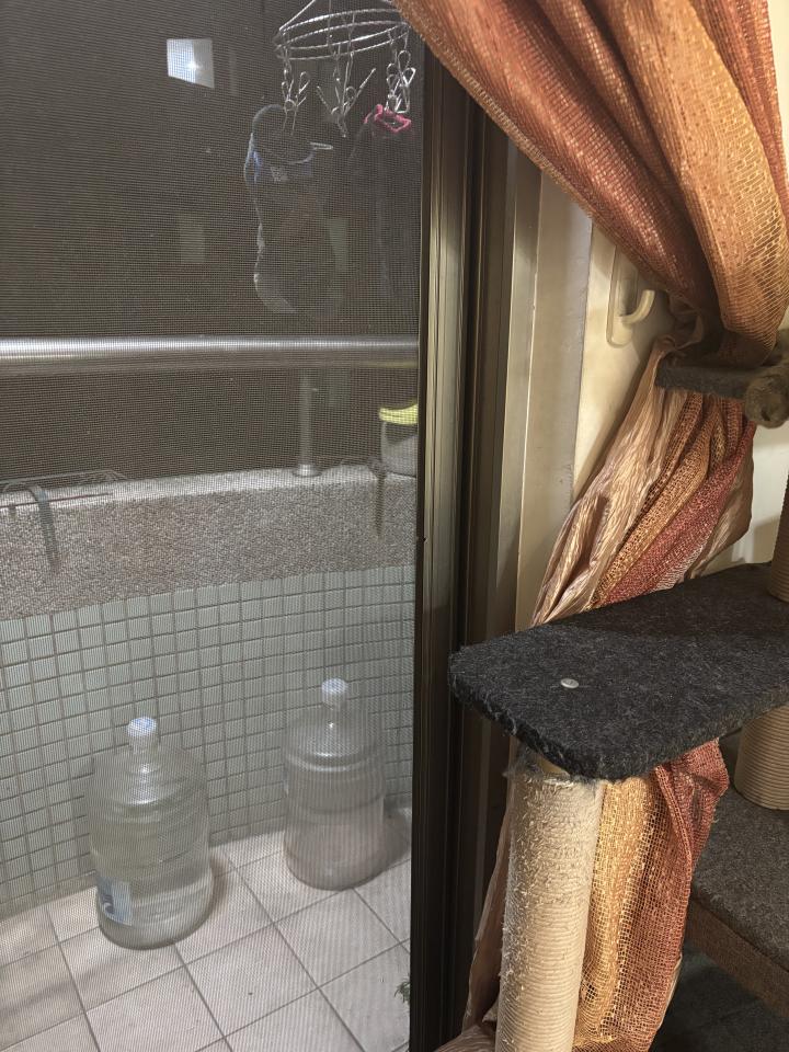 紗窗裝修案件圖片