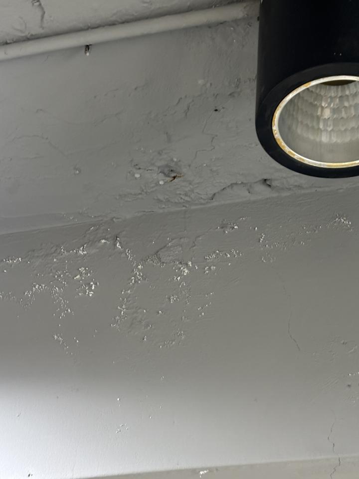 漏水處理案件圖片