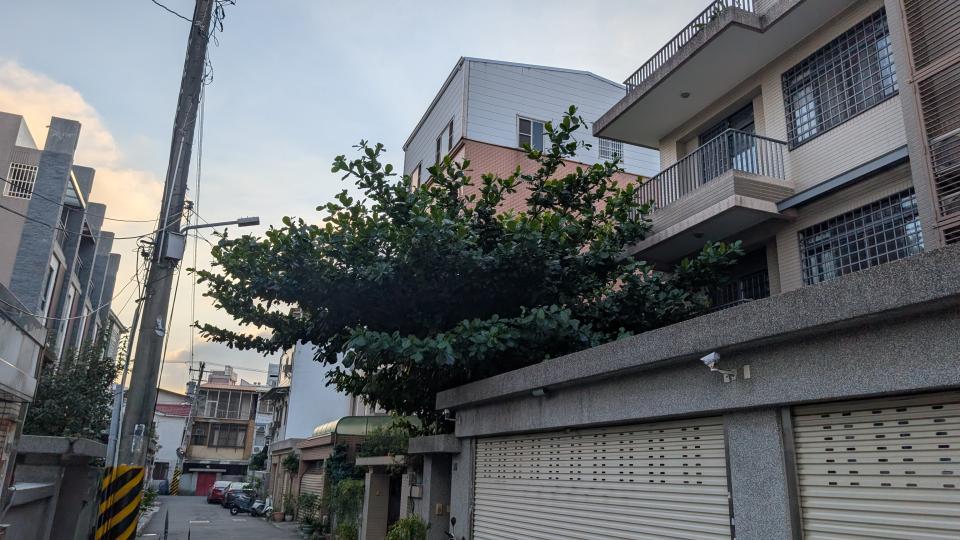 園藝維護案件圖片