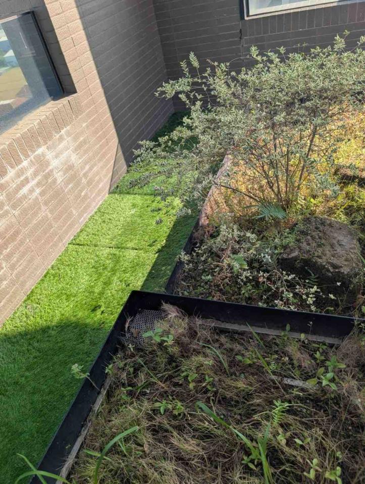 園藝維護案件圖片