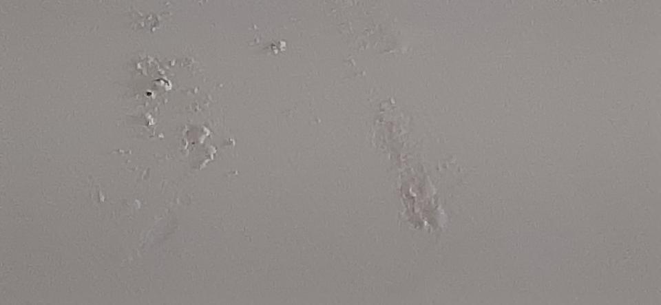 壁癌處理案件圖片