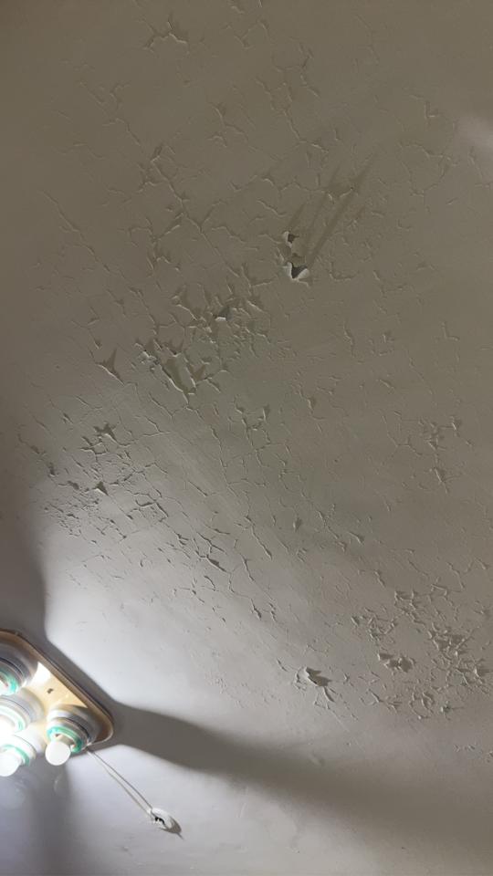 油漆工程案件圖片