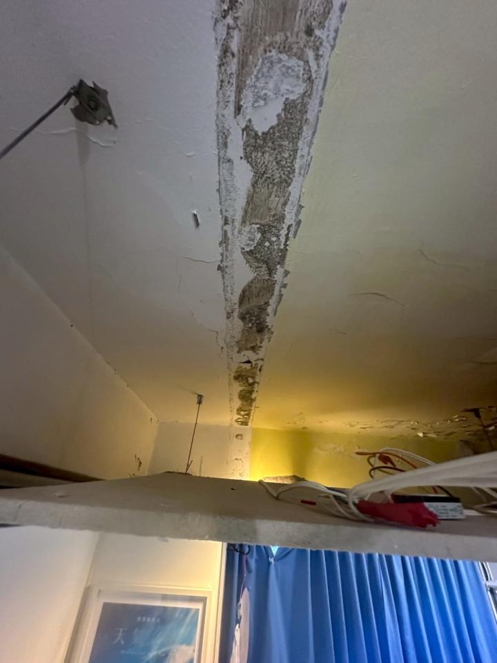 鋼筋外露處理案件圖片