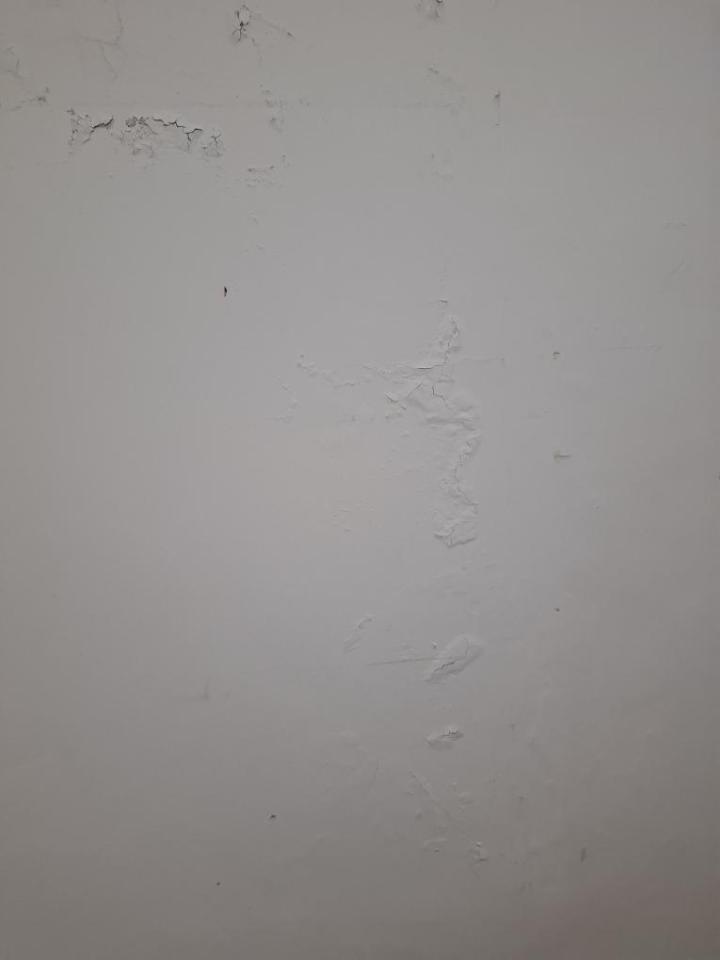 油漆工程案件圖片