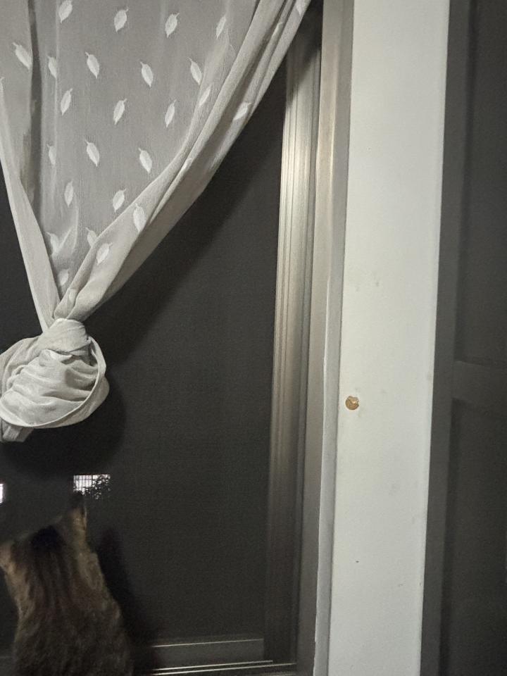 紗窗裝修案件圖片