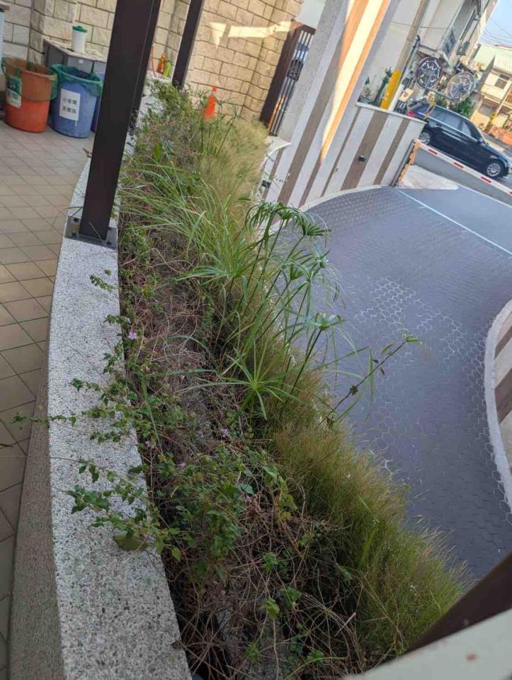 園藝維護案件圖片