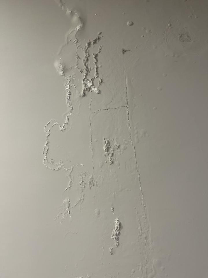 壁癌處理案件圖片