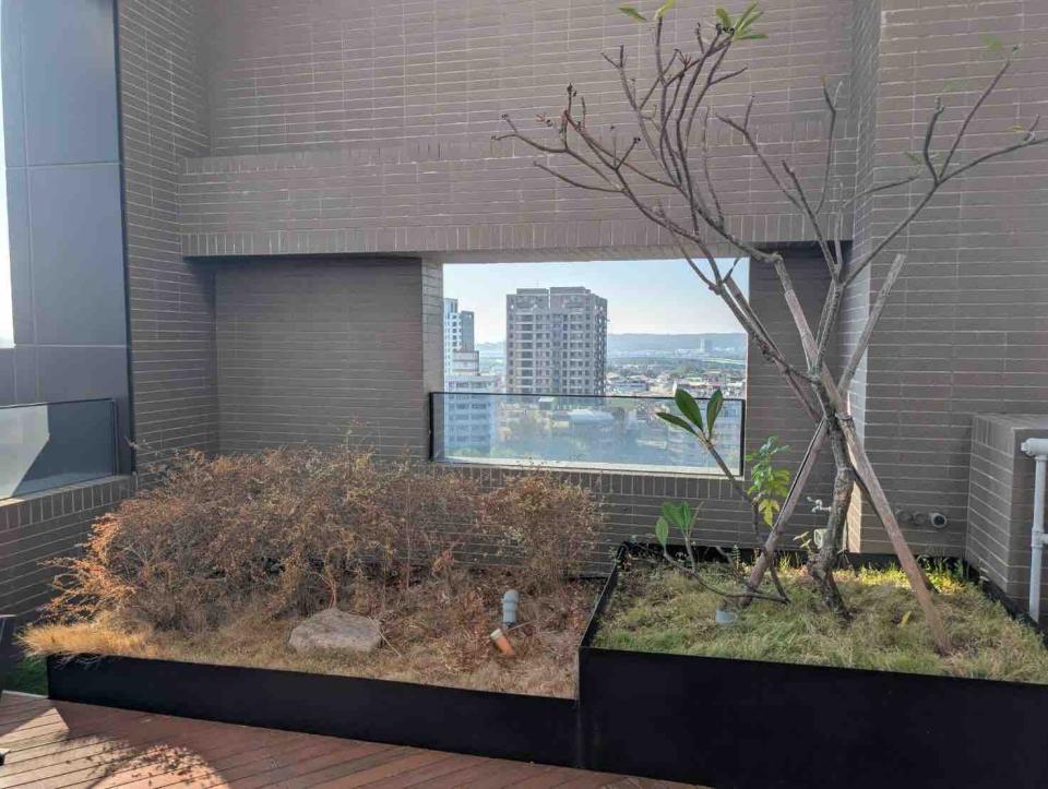 園藝維護案件圖片