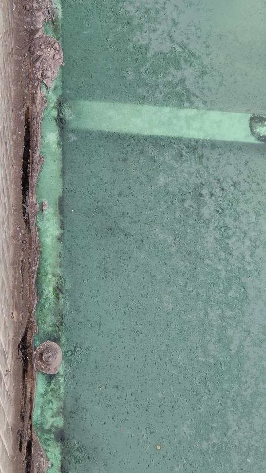 採光罩案件圖片