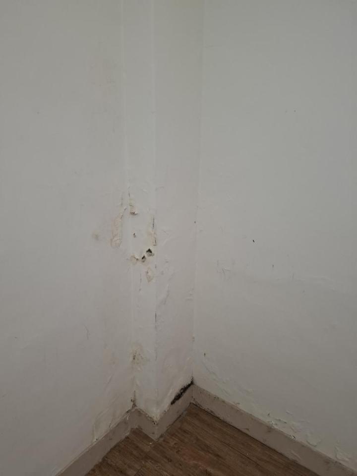 油漆工程案件圖片