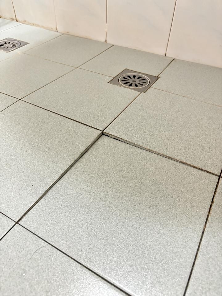 磁磚修補案件圖片