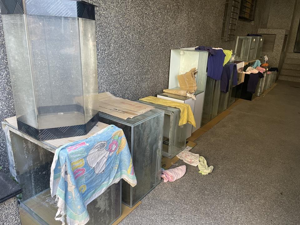 大型垃圾回收案件圖片