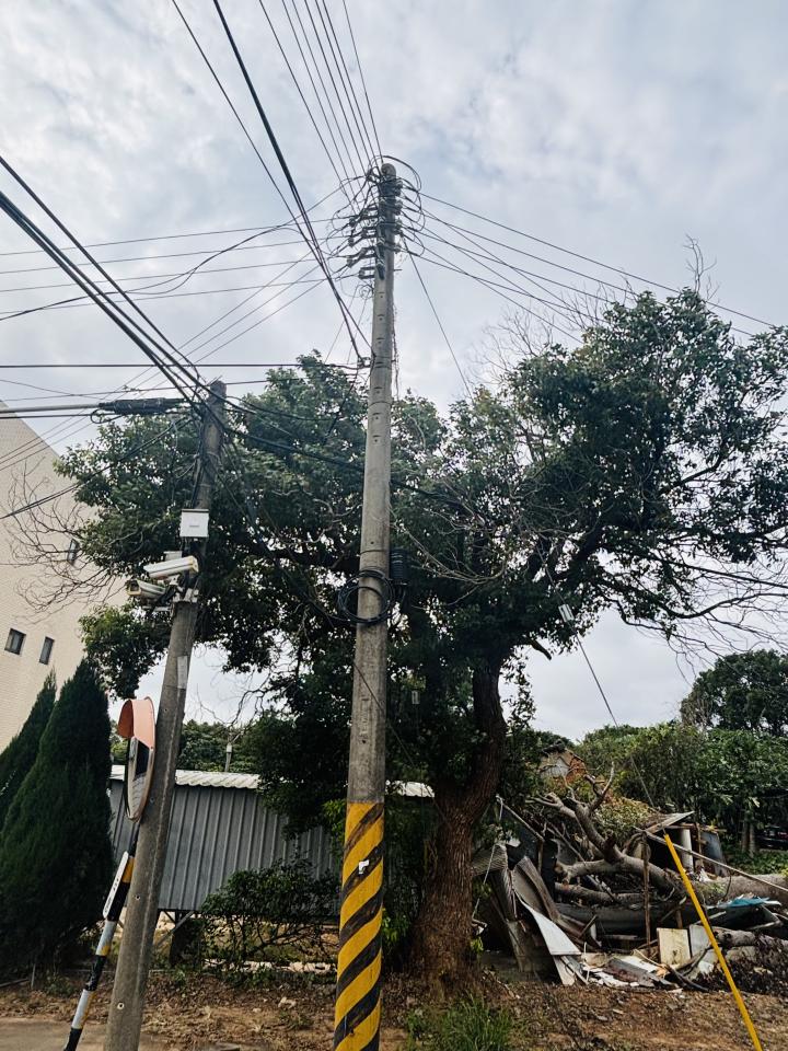 園藝維護案件圖片