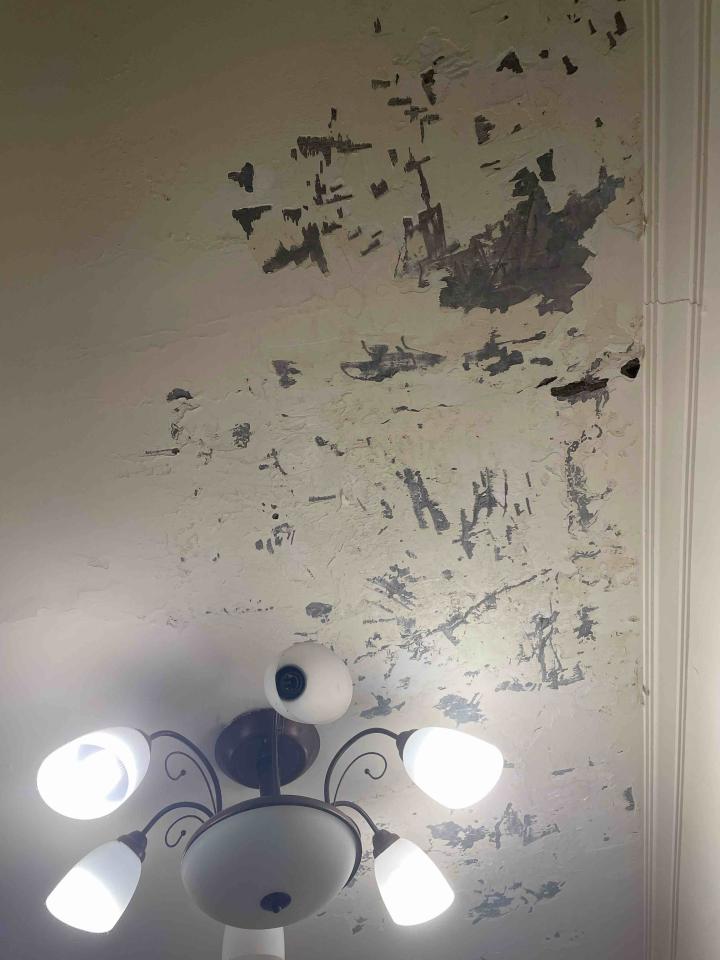 漏水鑑定案件圖片