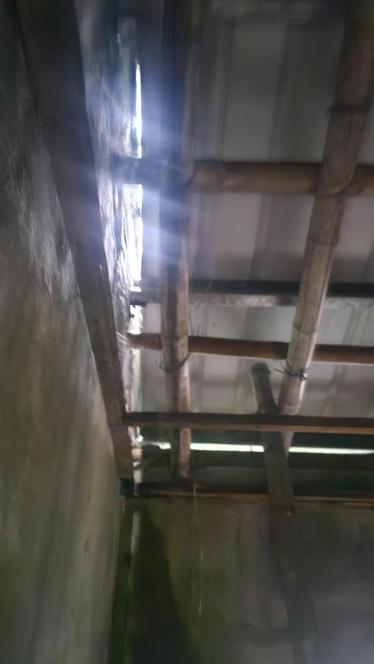 鐵皮屋頂案件圖片