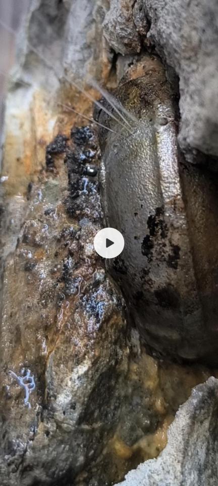 水管維修案件圖片