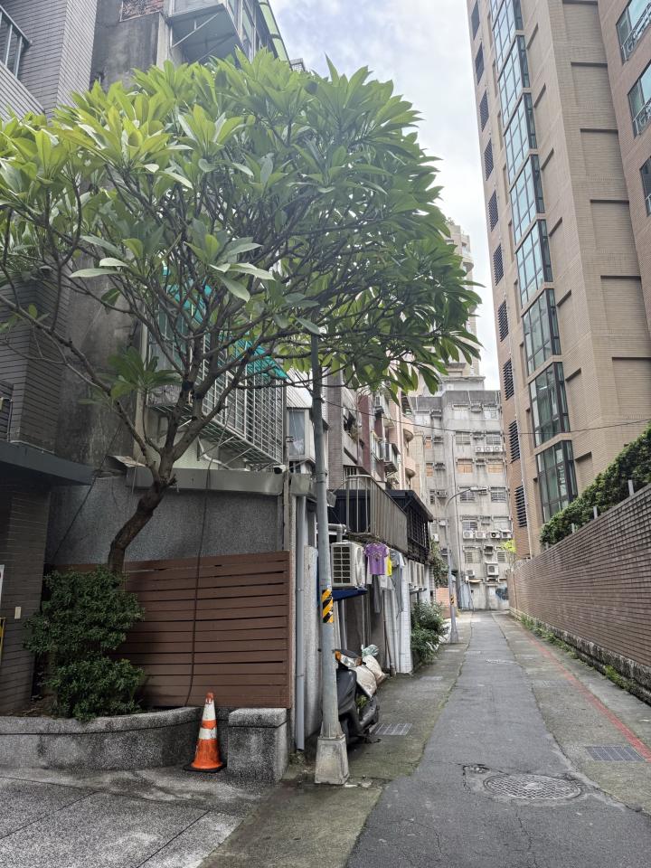 園藝維護案件圖片