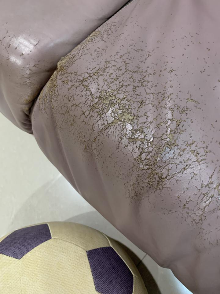 家具維修案件圖片