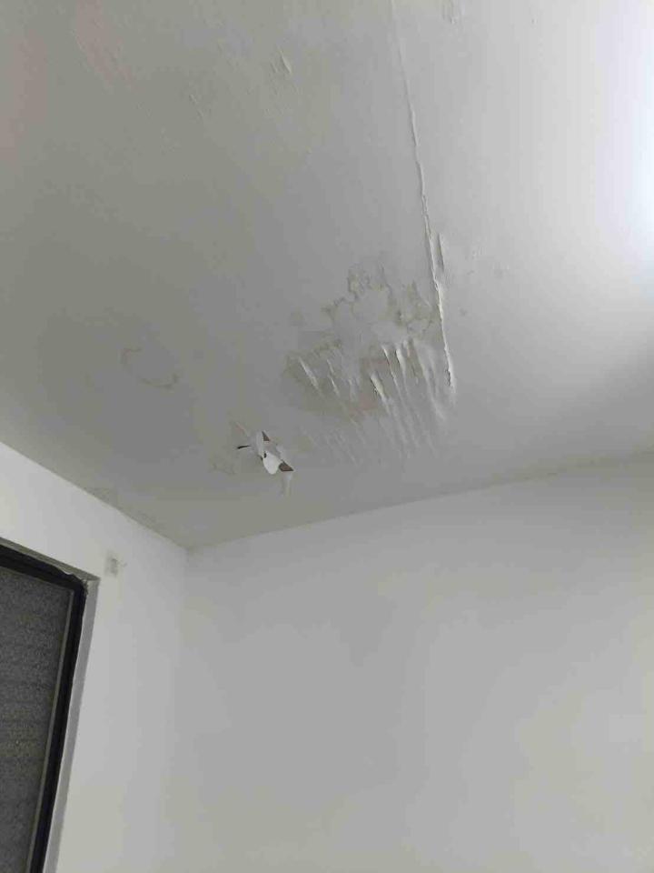 油漆工程案件圖片