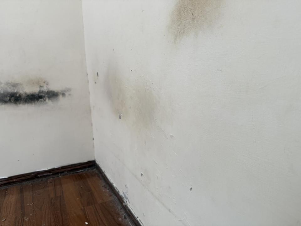 油漆工程案件圖片