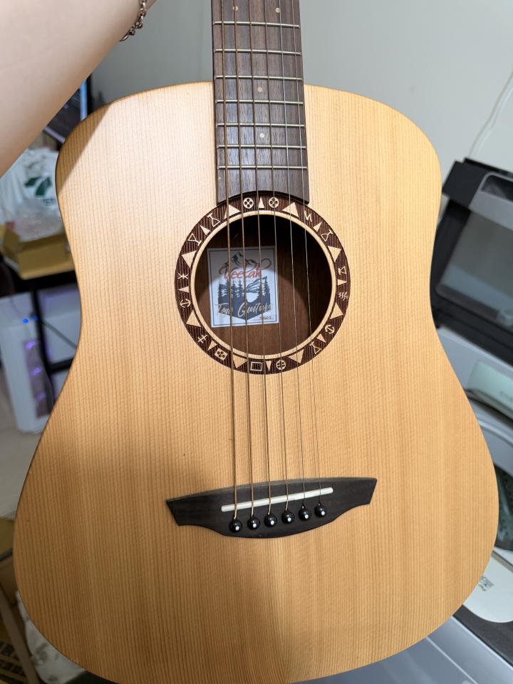 樂器行案件圖片