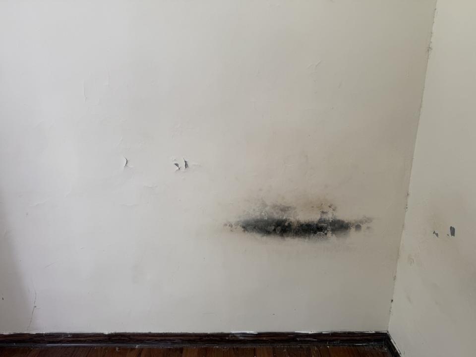 油漆工程案件圖片