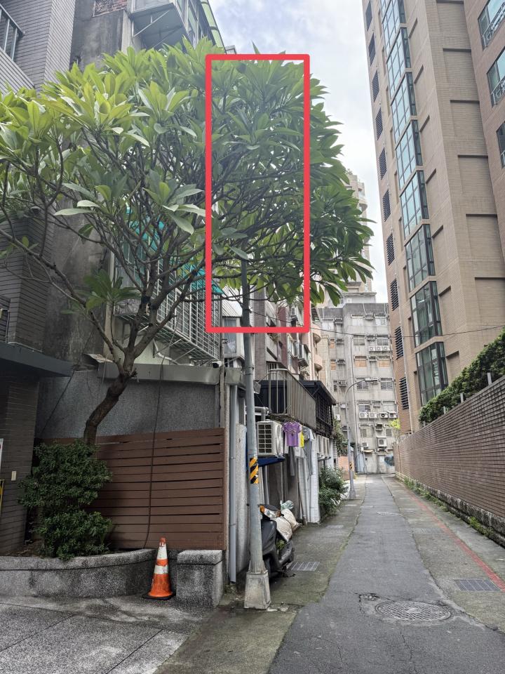 園藝維護案件圖片