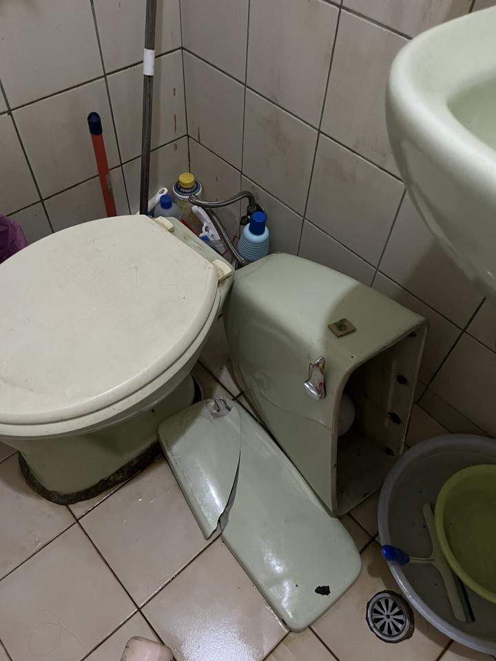 馬桶裝修案件圖片