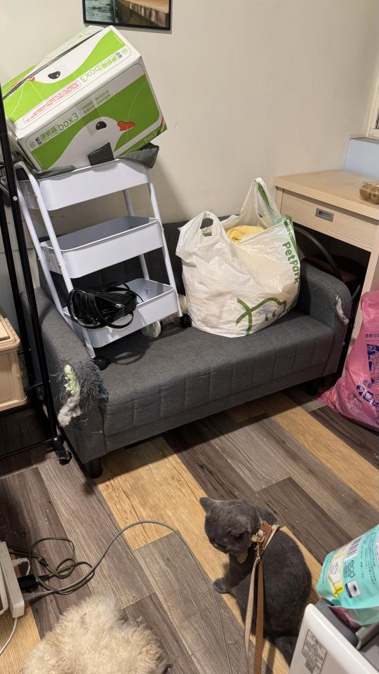 大型垃圾回收案件圖片