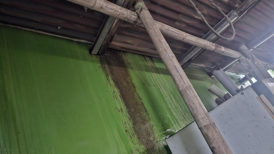 鐵皮屋頂案件圖片