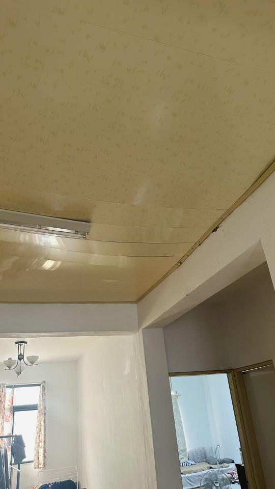 漏水鑑定案件圖片