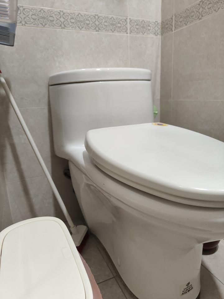 馬桶裝修案件圖片